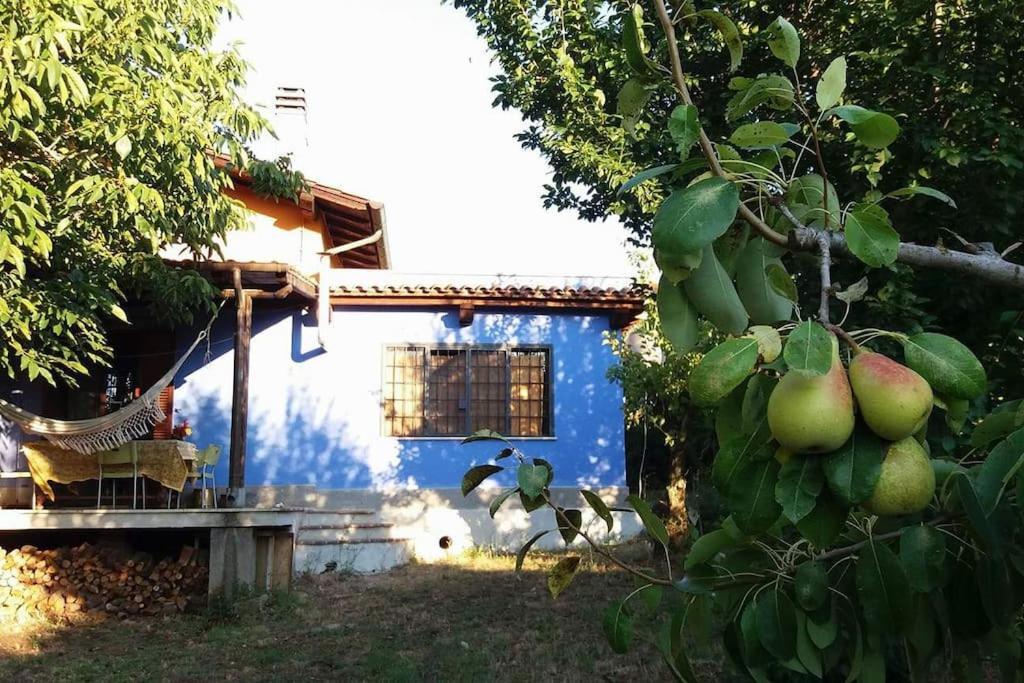 Country House Tra Lago E Mare A Sud Di Roma Villa Campoleone Exterior photo